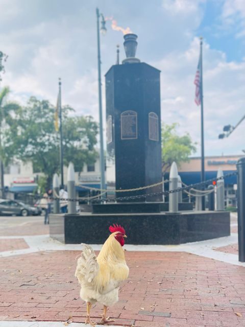 VIP Walking Tour of Little Havana - Key Points