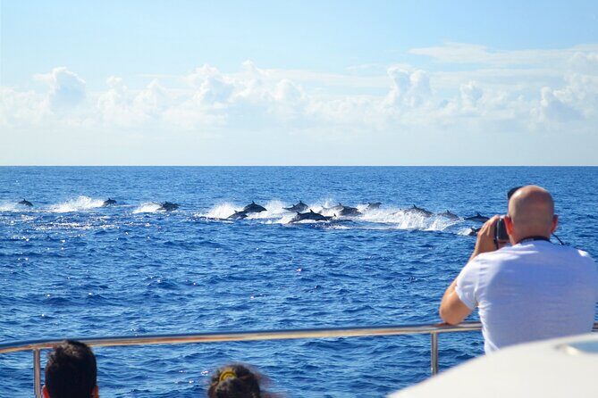 VipDolphins Luxury Whale Watching - Who Should Consider This Tour?