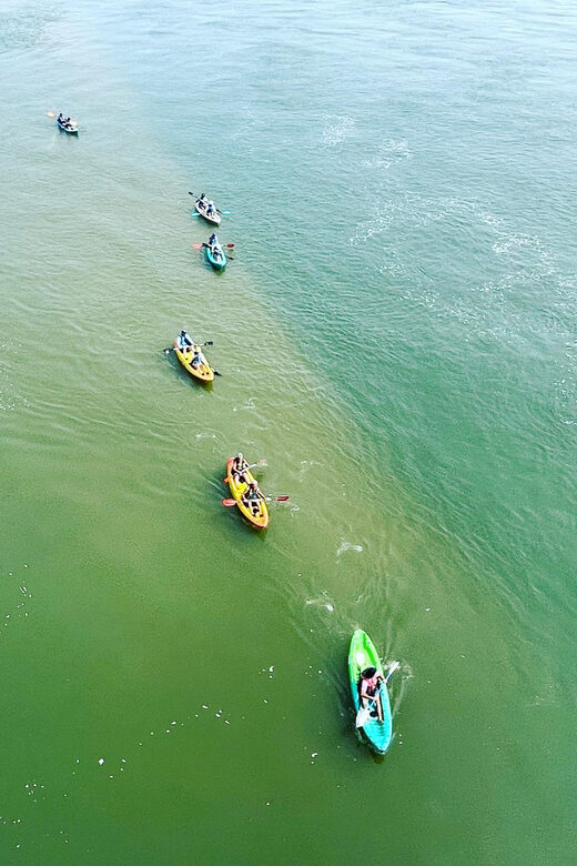 Virginia Beach: Dolphin Kayak Tour: This is a Workout! - The Value of the Tour