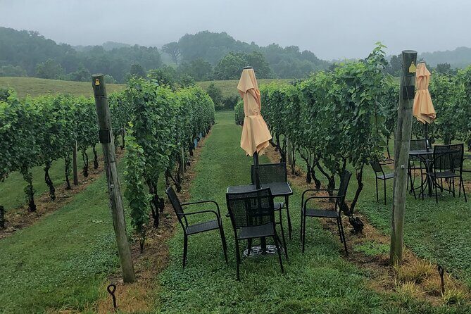 Virginia Winery Excursion By Luxury Vehicle 2-Wineries - The Itinerary in Detail