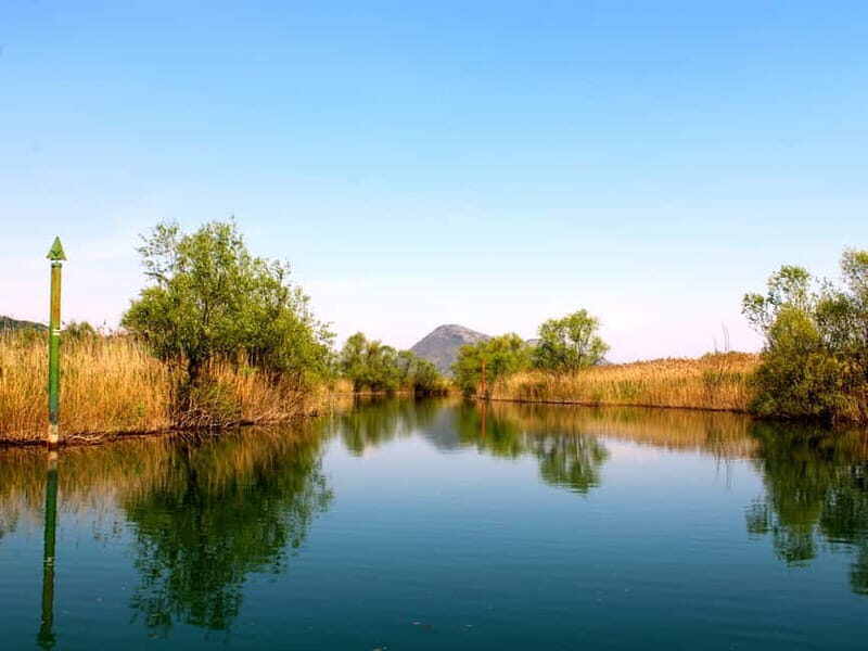 Virpazar: Guided Lake Skadar Cruise and Crnojevia River - What’s Included and What’s Not