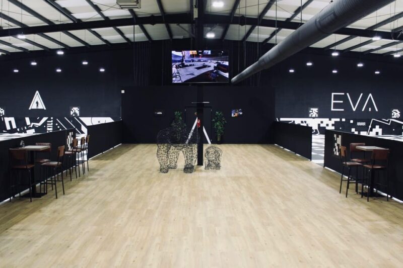 Virtual Reality Session - What Is the Virtual Reality Session at EVA?