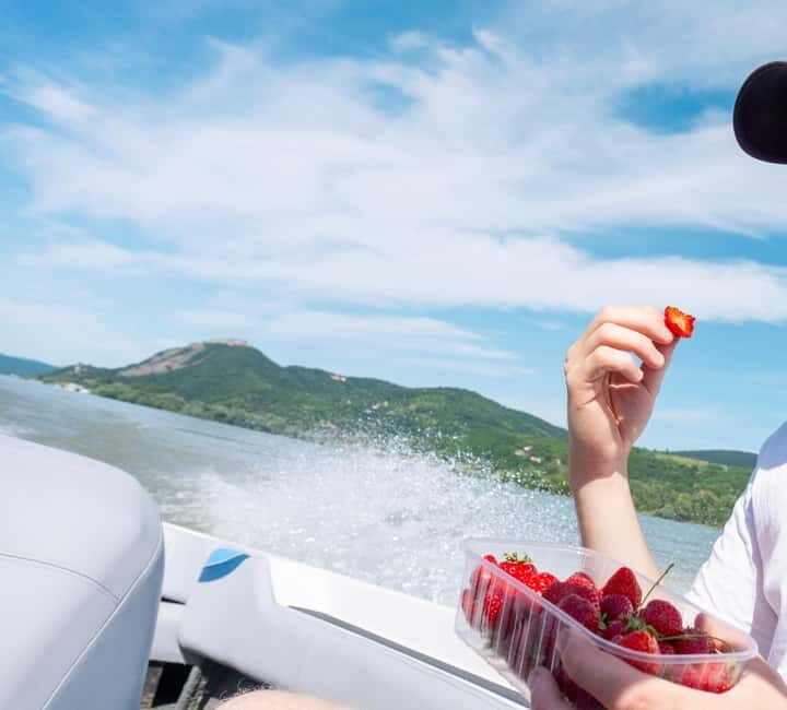 Visegrád: Private Cruise on the Danube River - An Honest Look at the Private Danube Speedboat Experience