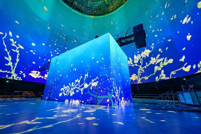 Visiodrom in Wuppertal: The Immersive 360° Van Gogh Show - Who Is This Tour Best For?