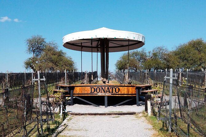 Visit 1 Cheese Factory and 2 Vineyards, starting from Querétaro - A Closer Look at the Itinerary
