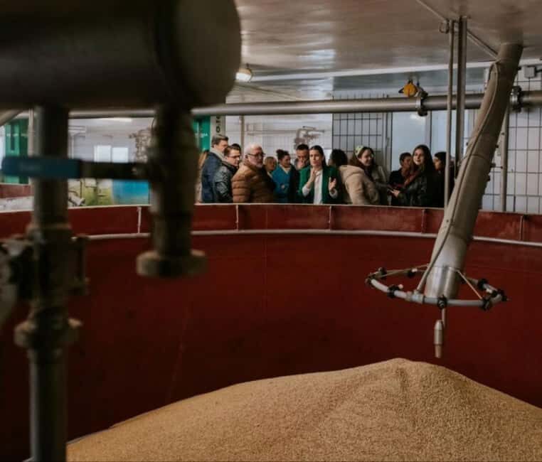 Visit a brewery in Murcia with tasting and tapas included, plus transfer - Key Points