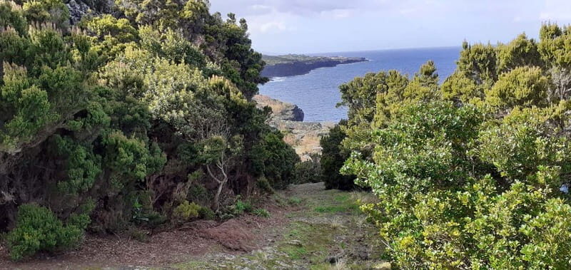 Visit a Farm on the Island of Pico - FAQ