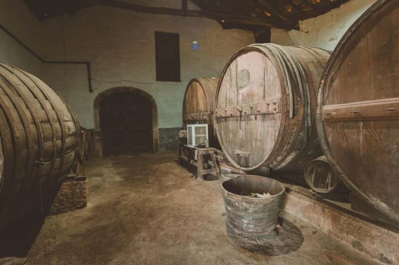 Visit a traditional estate with wine tasting - pet friendly - Final Thoughts