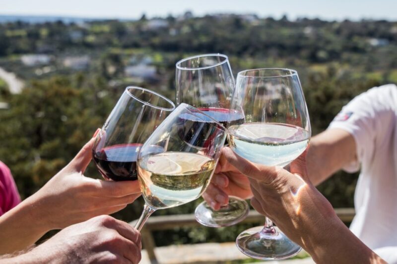 Visit a winery and an oil mill in Cisternino - An In-Depth Look at What the Tour Offers