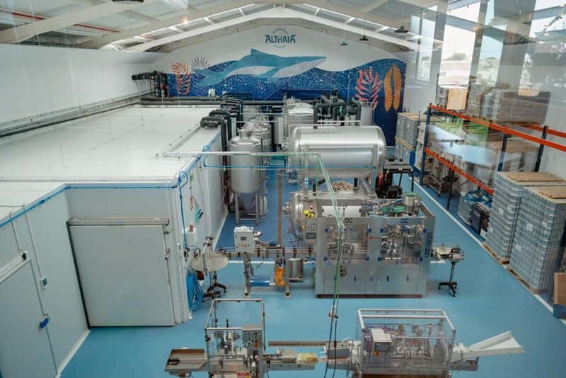 Visit Altea and Craft Beer Factory with Tapas by Van from Alicante - Who Will Love This Tour?