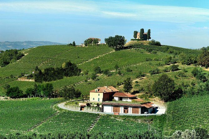 Visit among vineyards and wine cellar with wine tasting in Nizza Monferrato - In Closing
