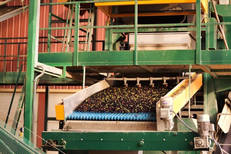 Visit an almazara + extra virgin olive oil tasting: Baeza - Practical Details and Considerations