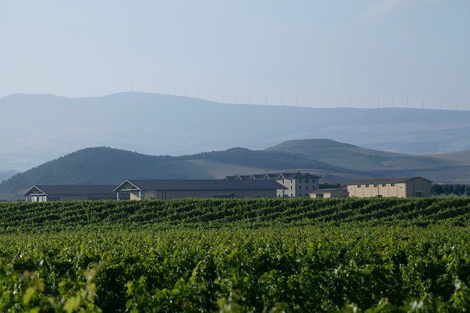 Visit and tasting in Otazu - In-Depth Look at the Otazu Tour