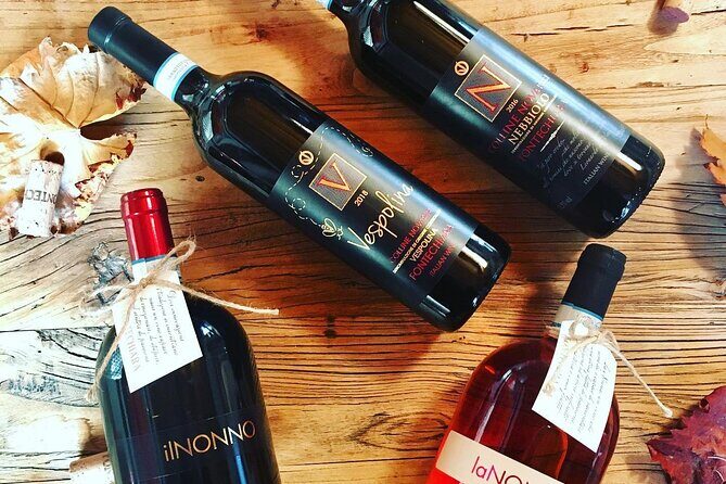 Visit and tasting of 3 D.O.C.wines Fontechiara - Key Points