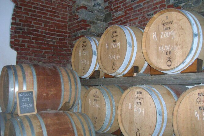 Visit and tasting of 4 D.O.C.wines Fontechiara - Exploring the Fontechiara Wine Tour: A Friendly Breakdown