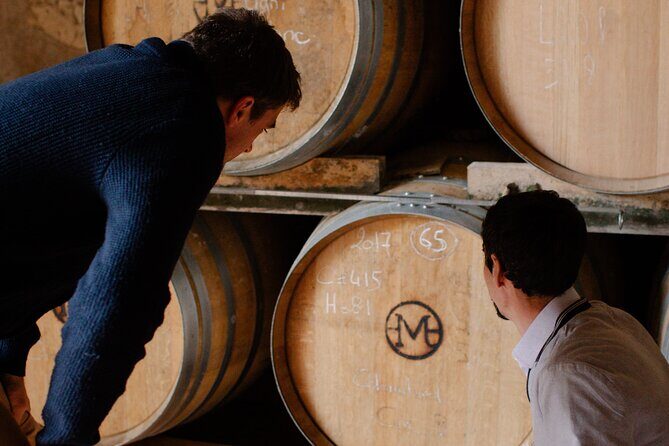 Visit and Tasting, The secrets of Haut-Armagnac - A Closer Look at the Domaine dArton Tour Experience