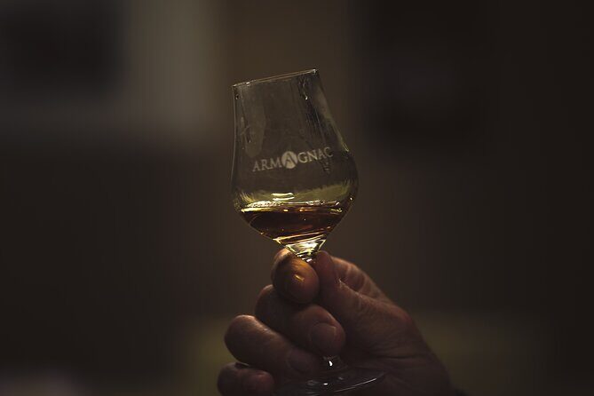 Visit and Tasting, The secrets of Haut-Armagnac - Who Should Consider This Tour?