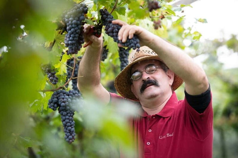 Visit and tasting with the producer - What to Expect from the Tour