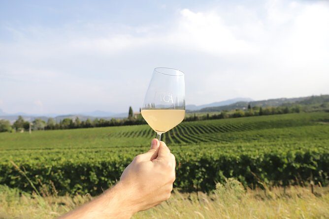 Visit and wine tasting at Tenuta La Cà - What to Expect From the Tour