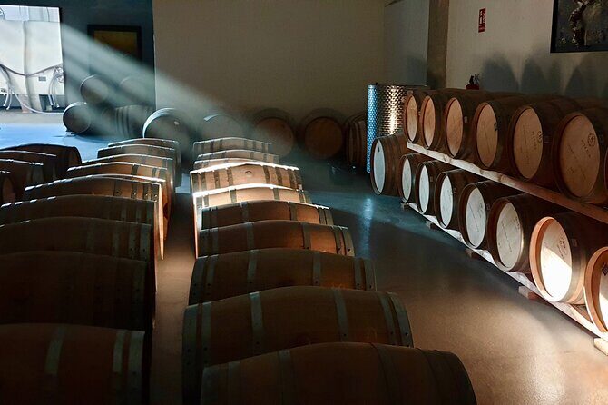 Visit and Wine Tasting at the Territorio Luthier Winery - An In-Depth Look at the Territorio Luthier Tour
