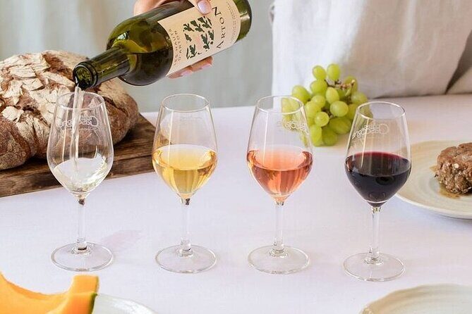 Visit and wine tasting: The Musketeers' wine - Key Points