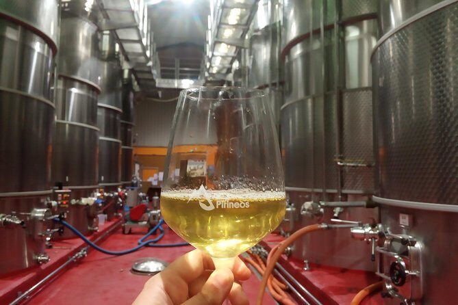 Visit and wine tasting with sausage and BODEGA PIRINEOS cheese - Exploring the Experience at Bodega Pirineos