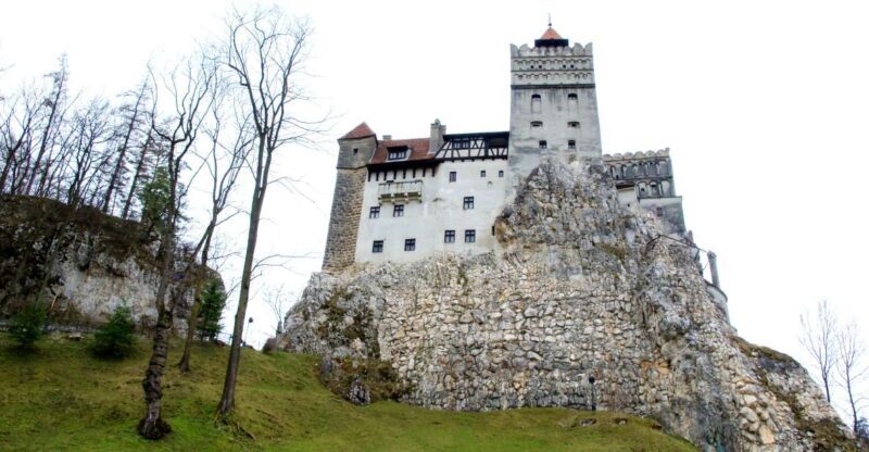 Visit Bear Sanctuary and Bran Castle from Brasov - Who Should Consider This Tour?