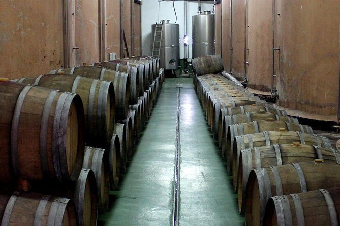 Visit Bodegas Teneguía winery in La Palma with wine Tasting - The Guide and Experience