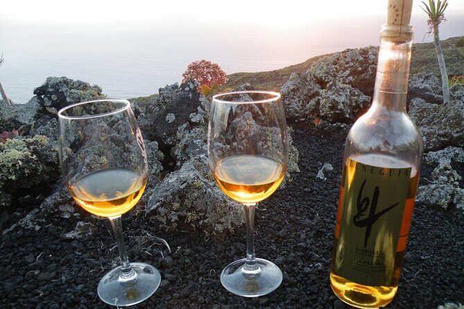 Visit Bodegas Teneguía winery in La Palma with wine Tasting - The Price and Value