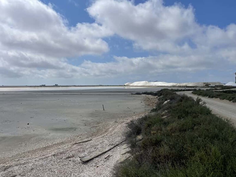 Visit Camargue and Espiguette Lighthouse from Montpellier - Key Points