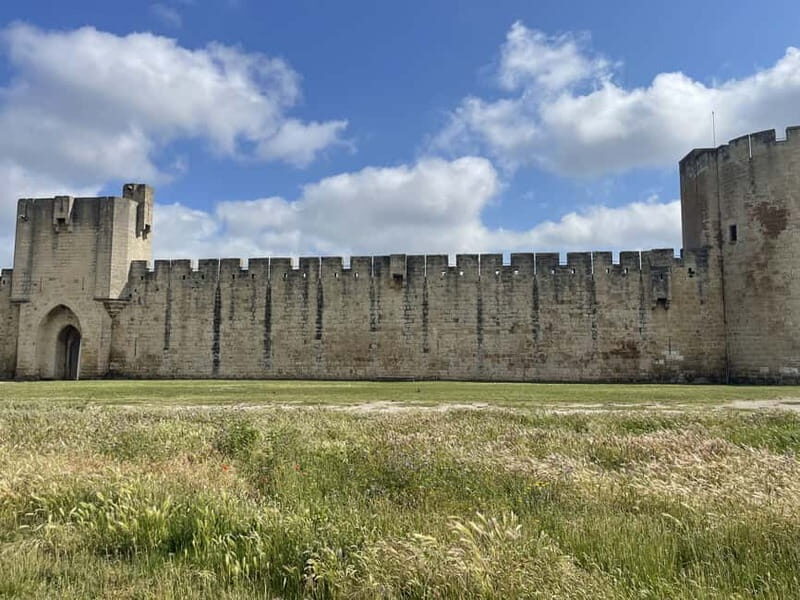 Visit Camargue and Espiguette Lighthouse from Montpellier - An In-Depth Look at the Tour Experience