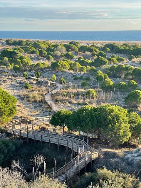 Visit Camargue and Espiguette Lighthouse from Montpellier - Frequently Asked Questions