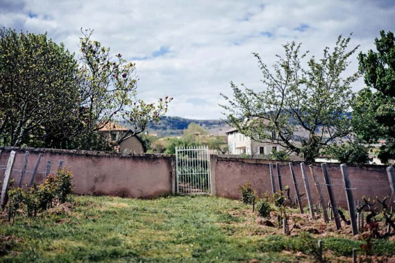 Visit : Château du Moulin-à-Vent, where time is an ally - A Deep Dive into Château du Moulin-à-Vents Tour