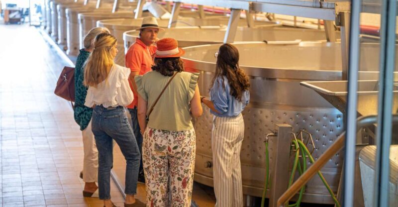 Visit Herdade da Comporta Winery - A Closer Look at the Experience