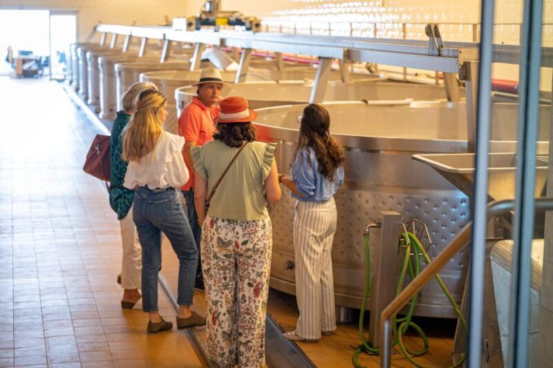 Visit Herdade da Comporta Winery - Final Thoughts