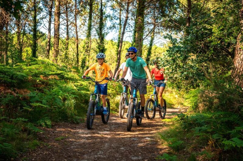 Visit Hossegor on an all-terrain electric scooter - with a guide - Key Points