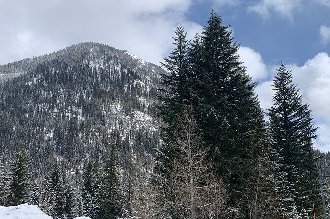 Visit Leavenworth on a guided Cascades and Snoqualmie Falls Tour - Practical Details You Should Know