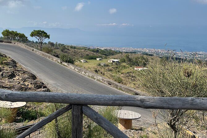Visit Mt Vesuvius & Pompeii skip the line tickets from naples - FAQ