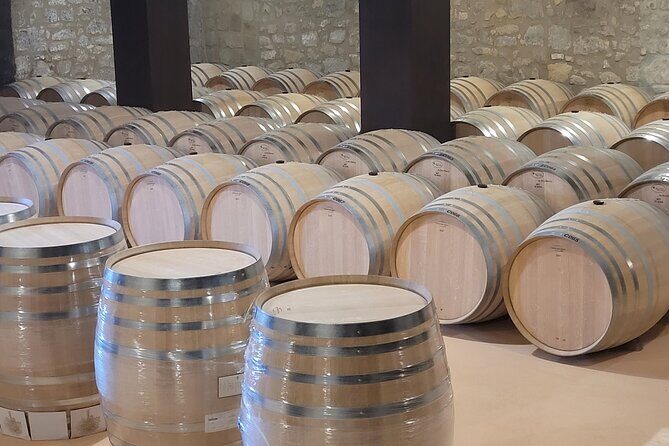 Visit of Marques de Riscal & Boutique Winery from Bilbao - Who Should Consider This Tour?