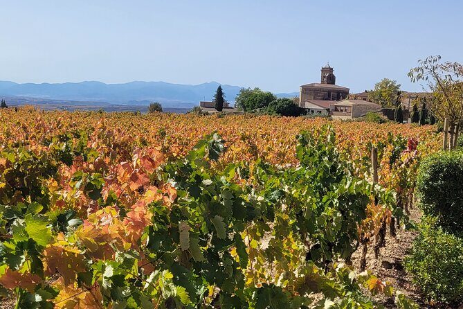 Visit of Marques de Riscal & Boutique Winery from Bilbao - Final Thoughts