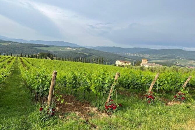 Visit Of The Chianti Classico And The Tuscan Countryside - A Closer Look at the Itinerary
