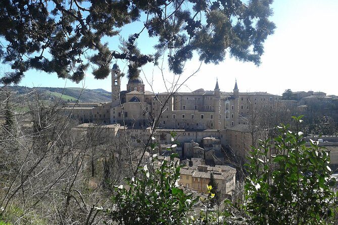 Visit of the Ducal Palace of Urbino - Exploring the Ducal Palace of Urbino: A Detailed Review