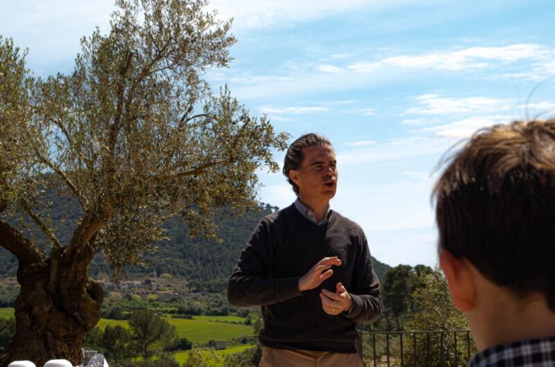 Visit of the olive grove, olive oil tasting and snack - Practical Details and Why They Matter