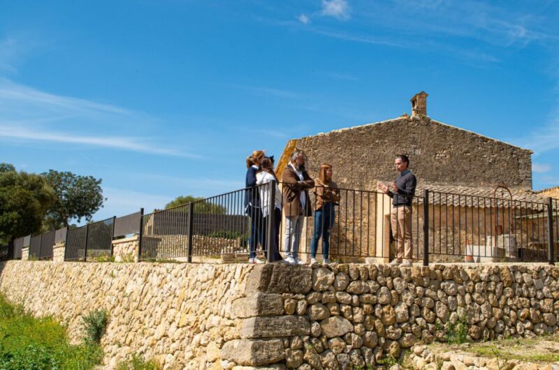 Visit of the olive grove, olive oil tasting and snack - Who is This Tour Best For?