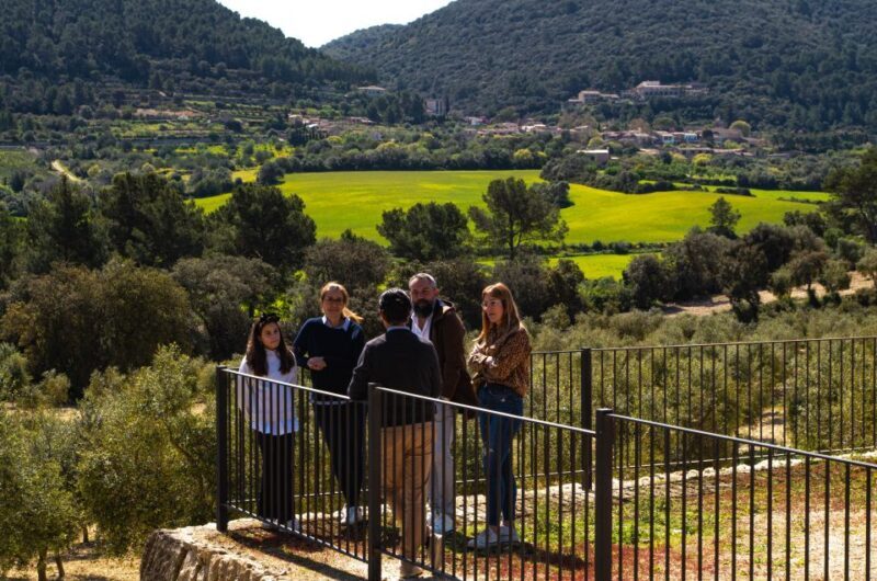Visit of the olive grove, olive oil tasting and snack - Final Thoughts