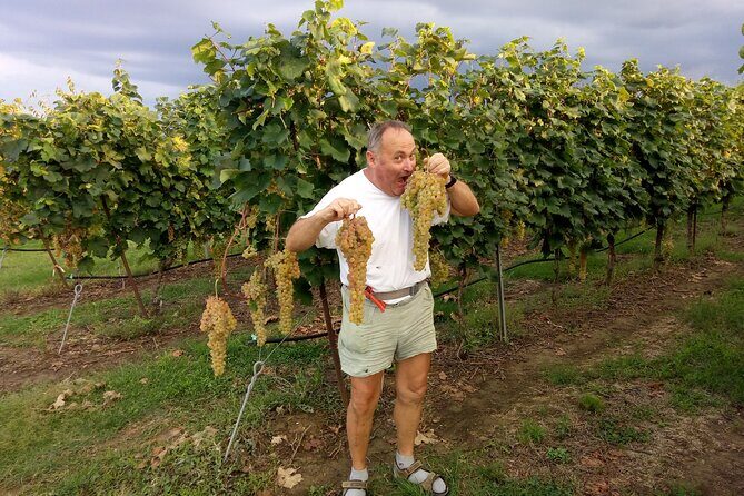 Visit of the Winemaker with Tasting of Typical Products in Faenza - Who Will Love This Experience?