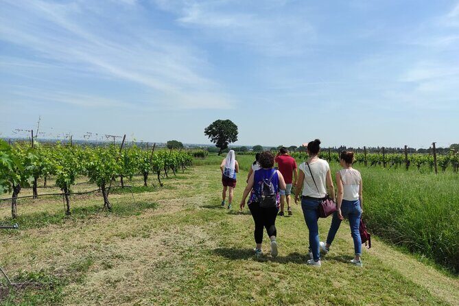 Visit of the Winemaker with Tasting of Typical Products in Faenza - The Sum Up