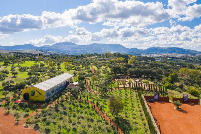 Visit Oil Mill Museum and Olive Oil Tasting in Ronda - Exploring the Olive Oil Experience in Ronda: An Honest Look