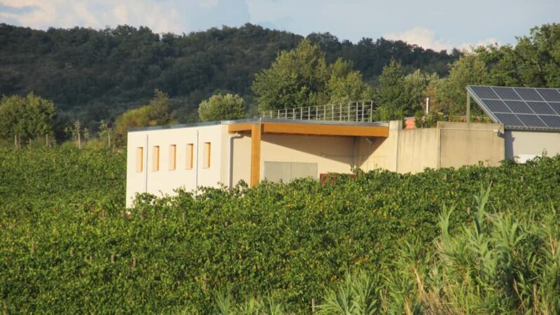 Visit our scenic winery and enjoy a tasting of award-winning organic wines - A Closer Look at the Tuscany Winery Experience