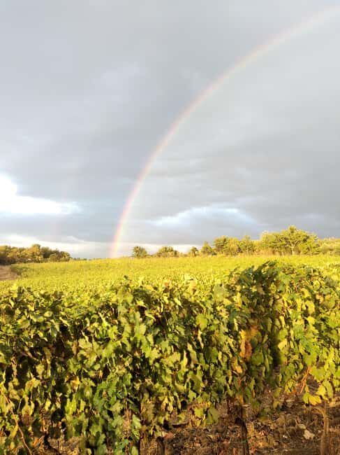 Visit our scenic winery and enjoy a tasting of award-winning organic wines - Final Thoughts